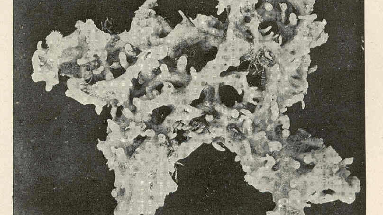 680.19677439