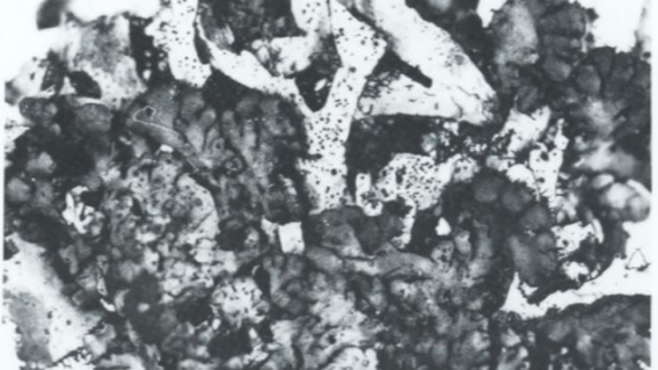 Marcano et al, 1995