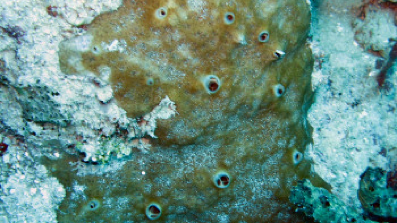 a2_b1_c9_d5_e5_f1_g2_h2_i3_j1_k2_sp47