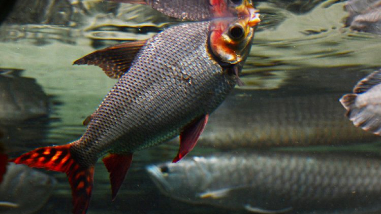 ????????????????????????????????????