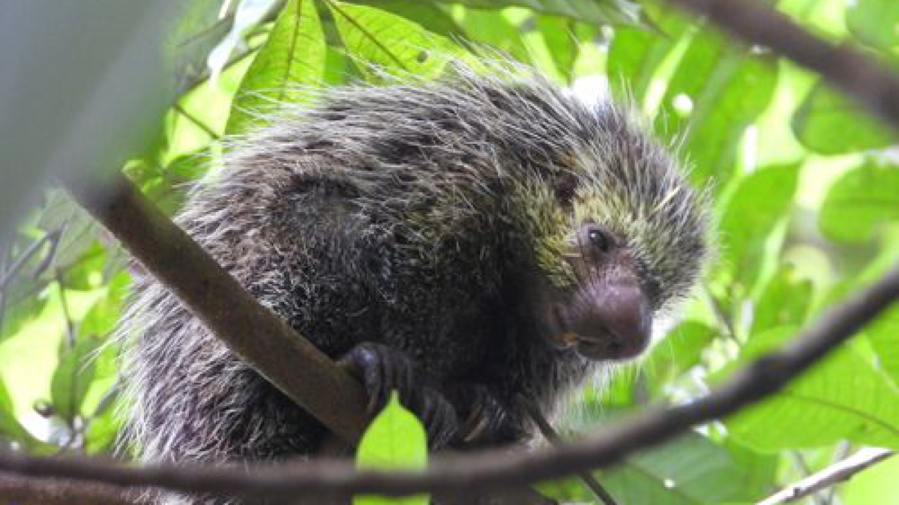 aca0066cf6a7ae58edeb2c7e91e71729