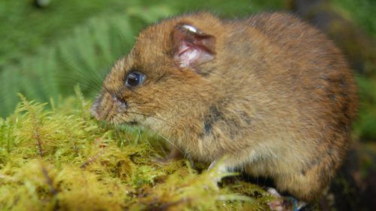 e968ad721fbf94907123570d75e37bdd