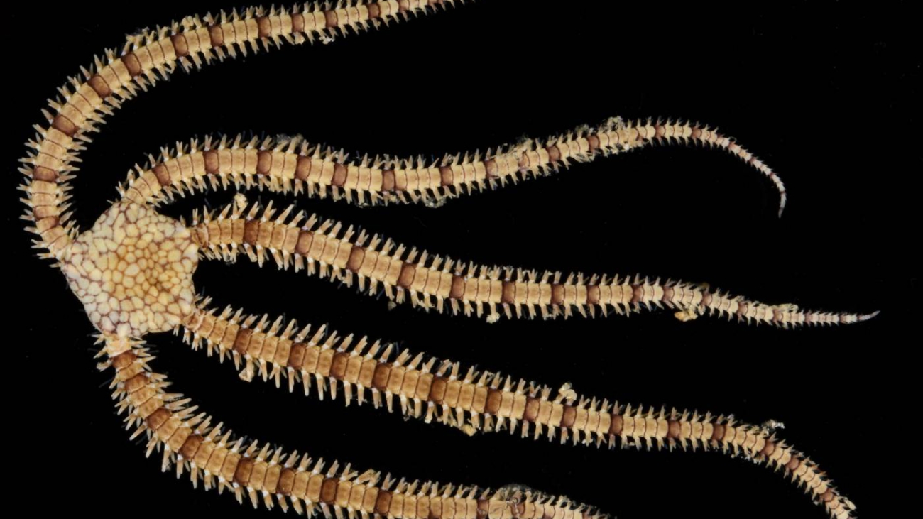 5de5de20-f415-4e91-a9bb-bc61d9_1579001703_web