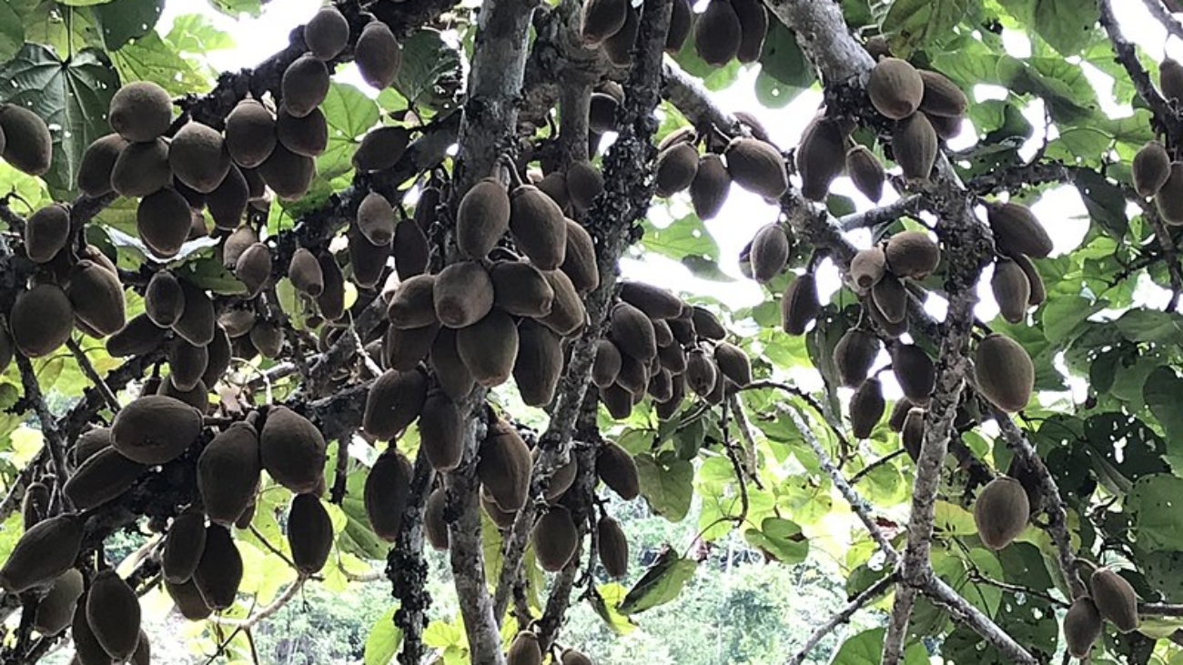 Juan A. Malo de Molina