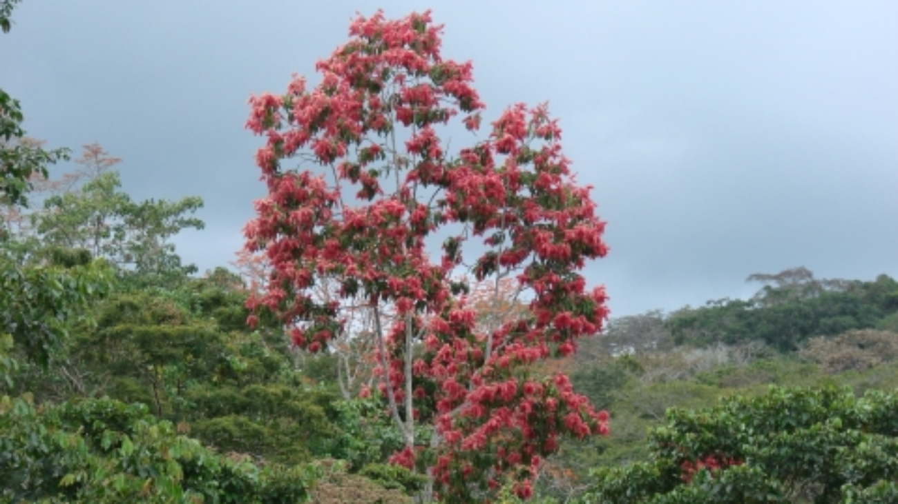 Photograph by: barloventomagico